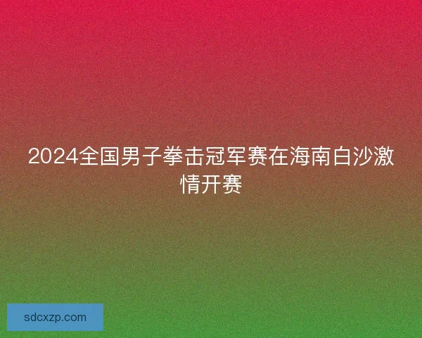 2024全国男子拳击冠军赛在海南白沙激情开赛