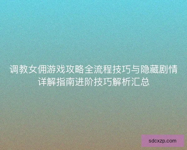 调教女佣游戏攻略全流程技巧与隐藏剧情详解指南进阶技巧解析汇总
